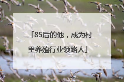 85后的他，成为村里养殖行业领路人